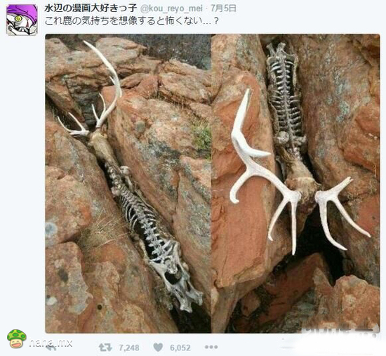 你经历过绝望吗?!